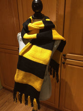 Load image into Gallery viewer, House Scarf
